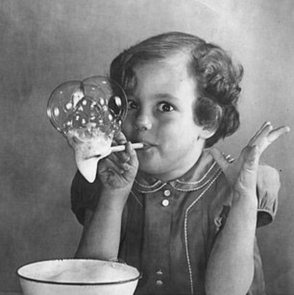 Meet your Posher, Sassy Kat - Picture 2 of 8